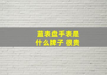 蓝表盘手表是什么牌子 很贵